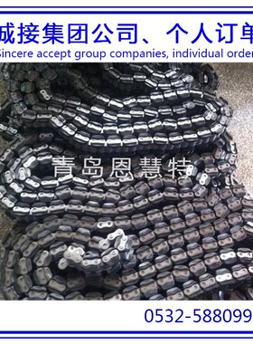 DBC东宝防锈滚子80-1 100-2 120-3单片飞轮链条工业流水线链条09