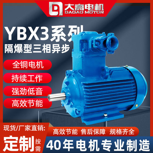 大高YBX3隔爆型IICT4/粉尘防爆三相异步电动机立卧式多种规格电机