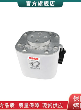 170M7248 7249 7250 7255 7260 巴斯曼bussmann快速熔断器保险丝
