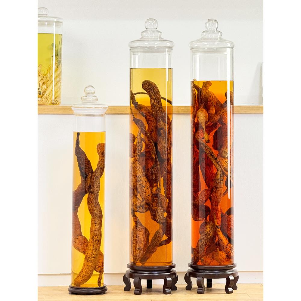 高档泡酒专用酒瓶高硼硅玻璃密封罐大号加厚长药材人参牛大力酒坛