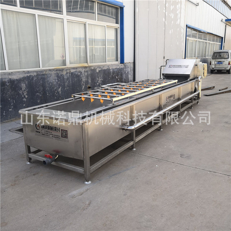 大枣清洗机 气泡清洗机价格 大型果蔬清洗机厂家 大型洗菜机现货
