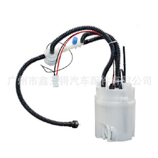 WGS500110 发现者 汽油泵总成