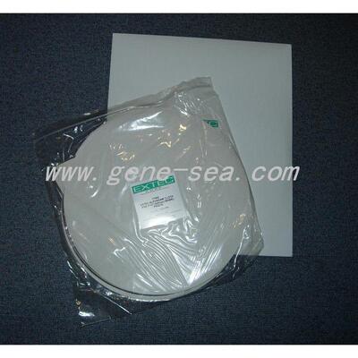 美国Extec 17262 12"(305mm)圆形背胶(PSA)棉质金相抛光绒布