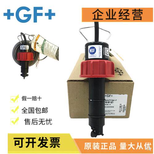 美国GF乔治费歇尔插入式流量计P51530-P0/P1P2转轮流量传感器探头