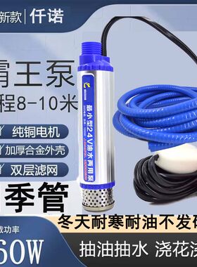 电动抽油泵柴油泵3.5cm新款12v24v220v款油抽子迷你型潜水泵