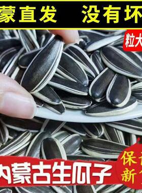 寅旺363大颗粒生葵花籽瓜子内蒙古工厂直发一斤装两斤装五斤装