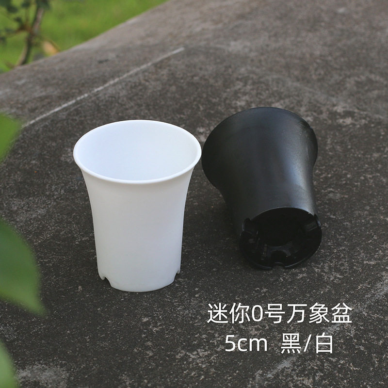 5cm圆形万象盆迷你高腰磨砂盆多肉植物塑料花盆拇指盆黑白色种植