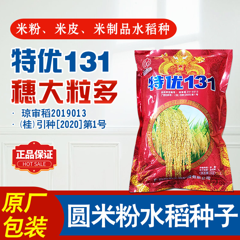杂交水稻种子特优131结实率高