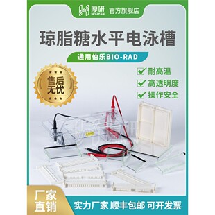 琼脂糖水平电泳槽Dycp-31Dn电泳仪凝胶盘梳状橡胶盒电泳附件Dna