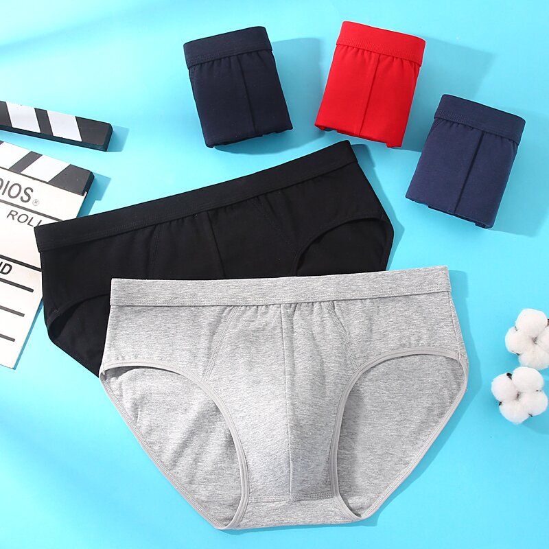 派力龙男士三角裤纯棉大码四季款