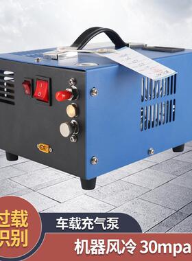 跨境热销12v车载高压打气泵30mpa电动打气机空气压缩机厂家直销