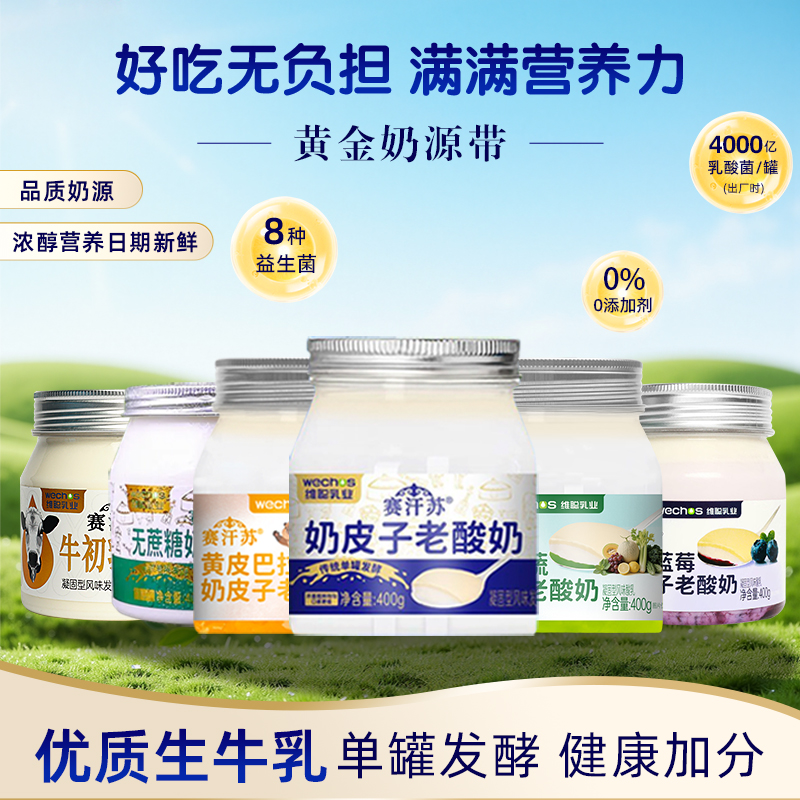 赛汗苏奶皮子酸奶400g