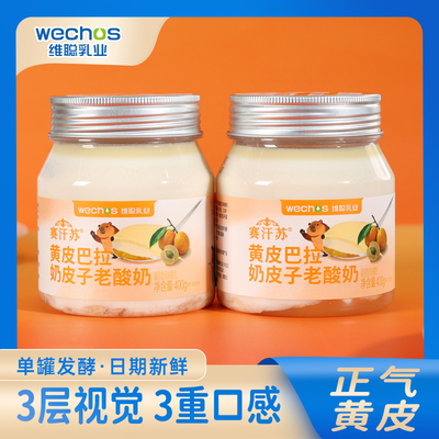 赛汗苏黄皮巴拉奶皮子老酸奶