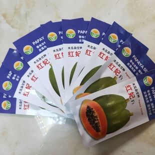 台湾农友红妃F1红心木瓜种子种籽高产红肉黄金奶油水果种孑籽种