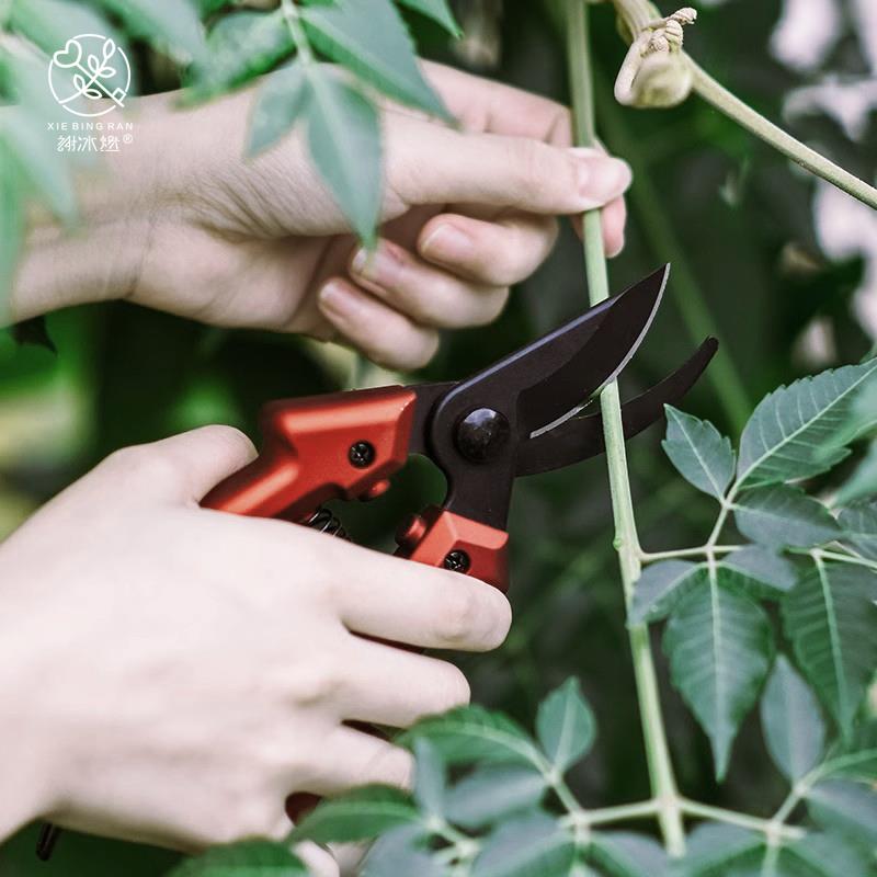 剪枝剪刀园艺树枝果树果枝修枝剪花剪园林花艺强力省力粗枝剪子