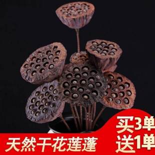 天然乾燥花干莲蓬禅意真花中国风客厅落地装饰家居摆设供佛花纯自