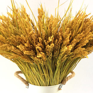 黄金稻穗五谷丰登麦穗田园会展橱窗酒店真花水稻乾燥花花束装饰布