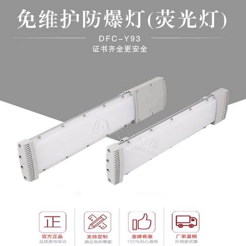 LED防爆荧光灯Y93防爆巷道灯20W40W60W管廊防爆吸顶灯