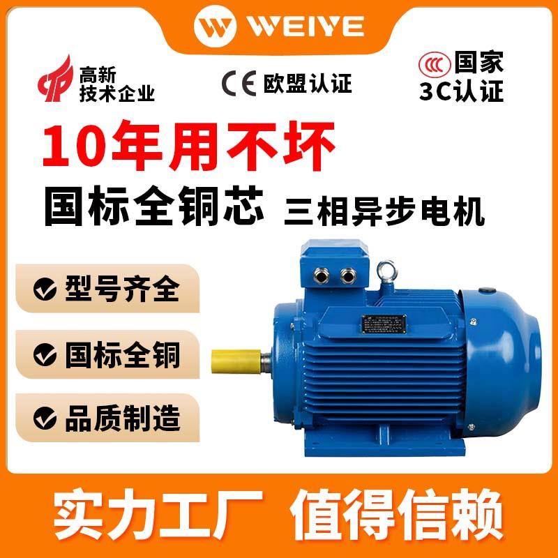 YE3全铜三相异步卧式电机立卧式铁壳电动机2级4级0.75KW1.1kW2.2k