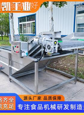 广西竹笋SGX清能洗机多功蔬机菜清洗气泡式翻浪清洗洗机 毛笋清机