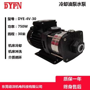 德洋水泵型号DYE4V30家庭用水增压泵不锈钢高扬程离心泵电动泵