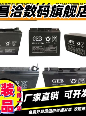 GEB蓄电池NP12V100A65AH40AH38A24A20AH17AH直流屏UPS消防主机EPS