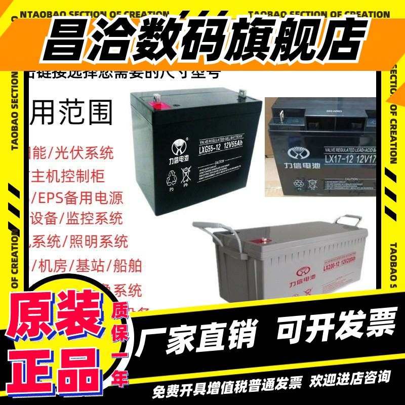 力信蓄铅酸蓄电池LX100-12V65AH200AH120AH38AH24AH17AHUPS直流屏