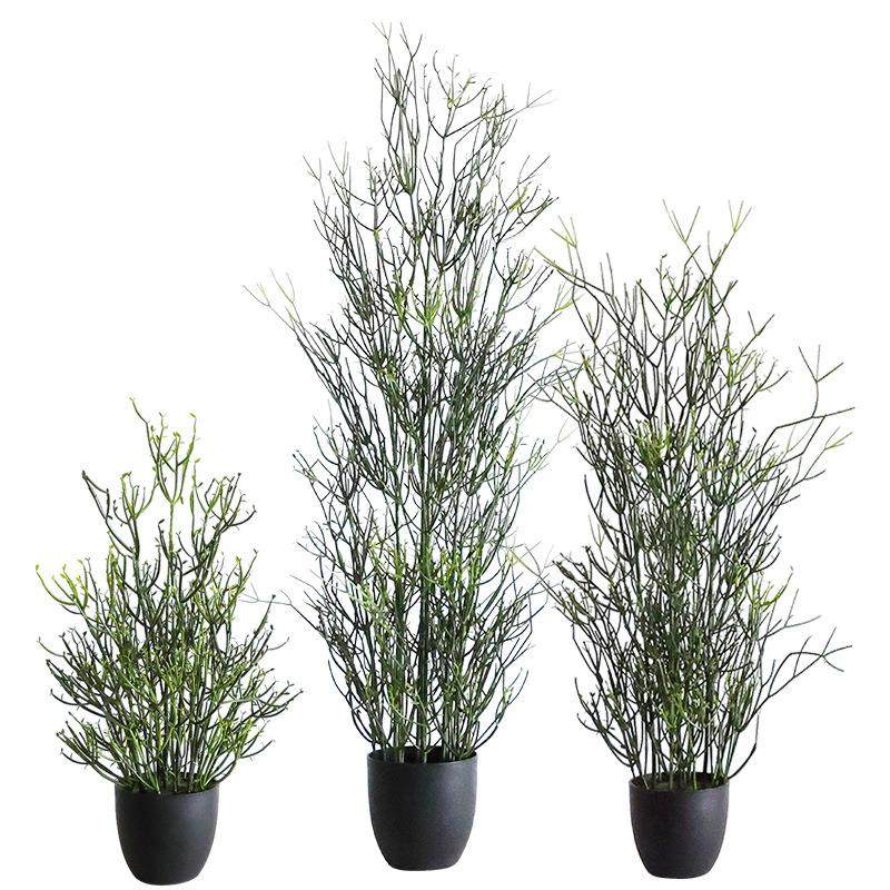 仿真光棍树火焰木大戟科多肉庭院造景植物盆栽热带沙生植物珊瑚树,鲜花速递/花卉仿真/绿植园艺,仿真绿植,淘宝优惠券,粉丝福利购,淘宝优惠卷