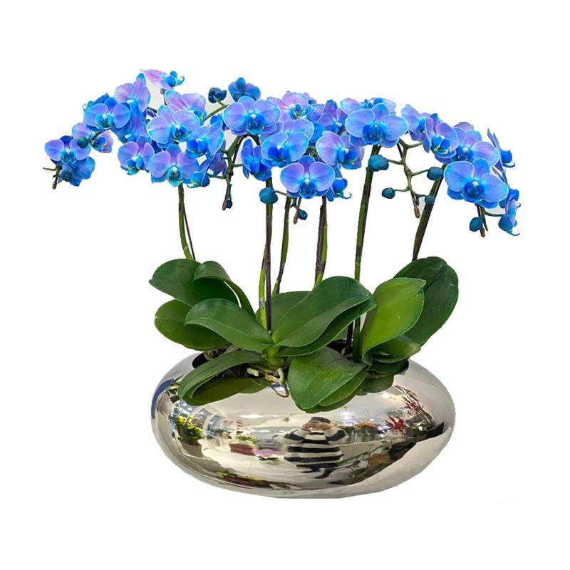 40cm口径坛电镀盆金属花盆年宵盆抱抱桶网红铁艺蝴蝶兰专用客厅,家居饰品,花盆,淘宝优惠券,粉丝福利购,淘宝优惠卷