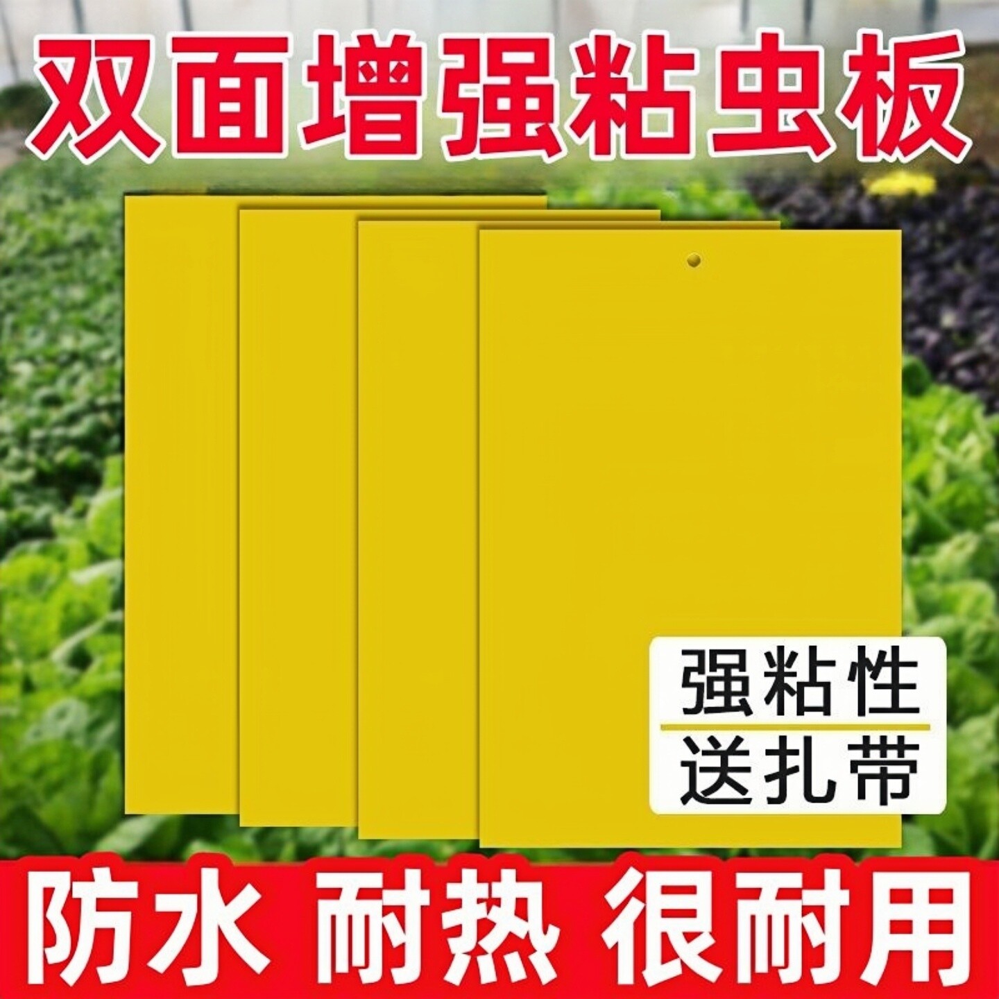 黄板双面粘虫板大棚诱果蝇