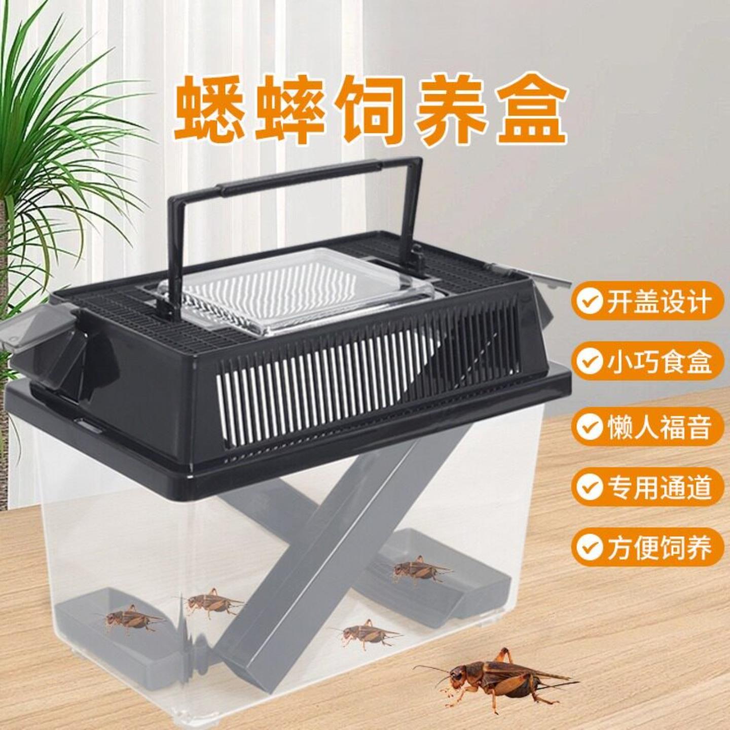 养蟋蟀盒饲养盒爬宠养殖箱携带