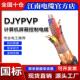 江南DJYPVP DJYPVRP计算机屏蔽电缆双屏蔽仪表电线控制阻燃电缆线