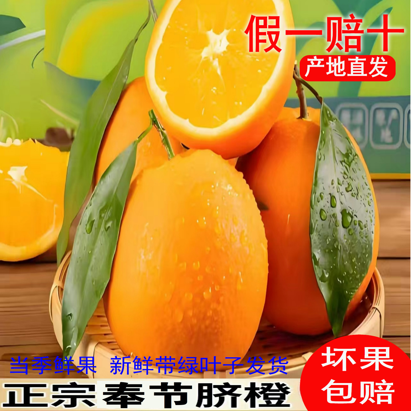 2026年5月橙子正宗重庆奉节脐橙福本纽荷尔长虹当季新鲜水果产地