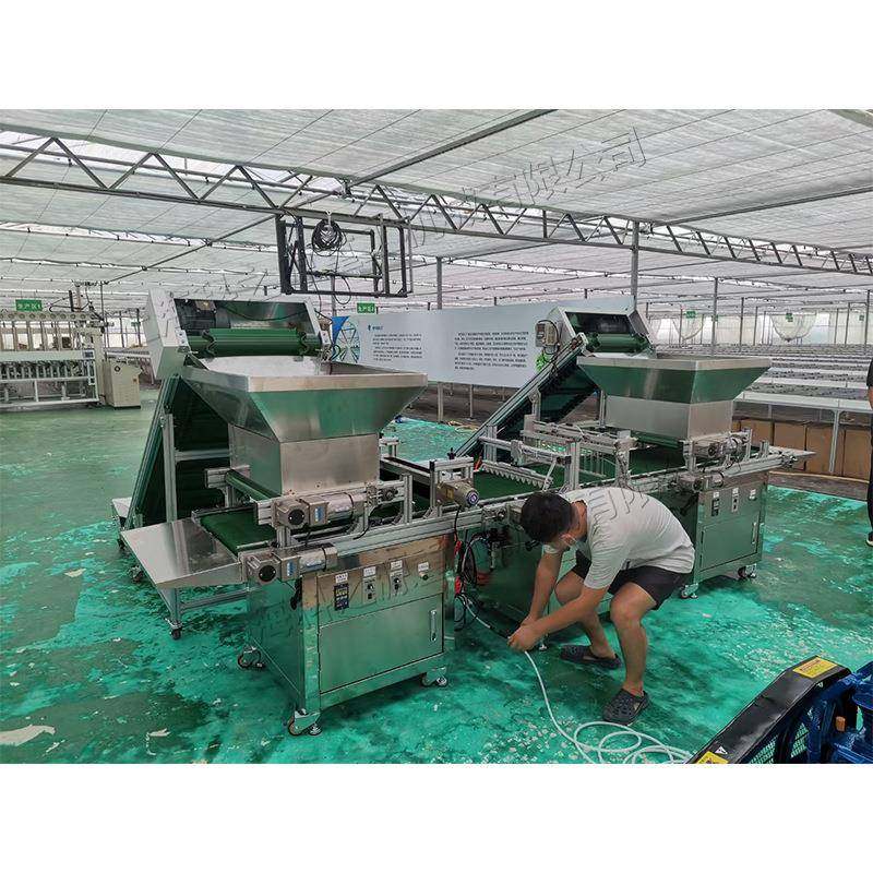 全自动穴盘育苗机农用西红柿苗穴盘培育机可上土蔬菜育苗播种机,农机/农具/农膜,播种栽苗器/地膜机,淘宝优惠券,粉丝福利购,淘宝优惠卷