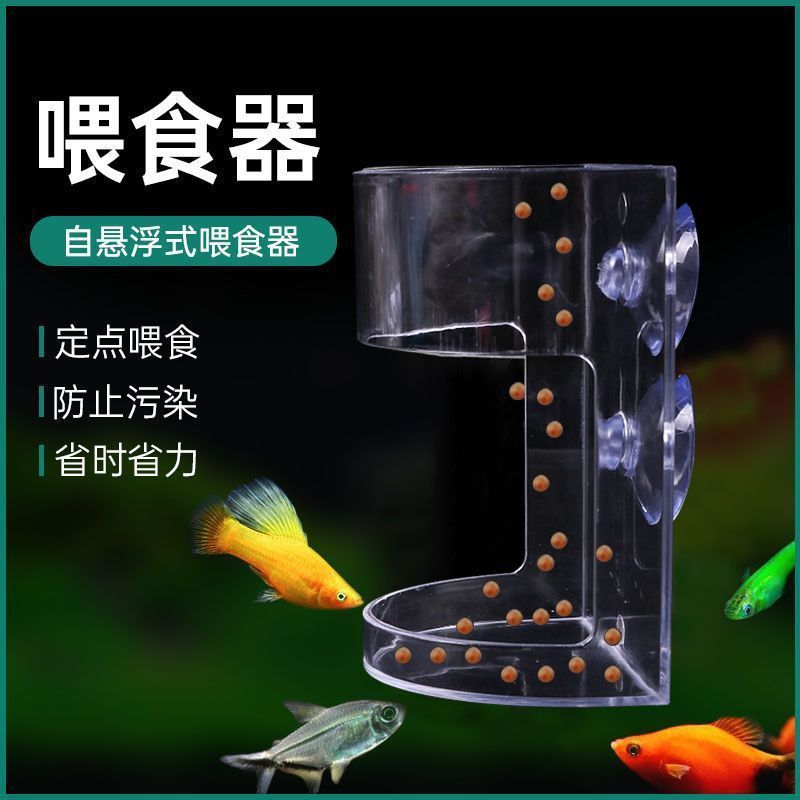 鱼乌龟鱼缸鱼食漂浮喂食圈悬浮