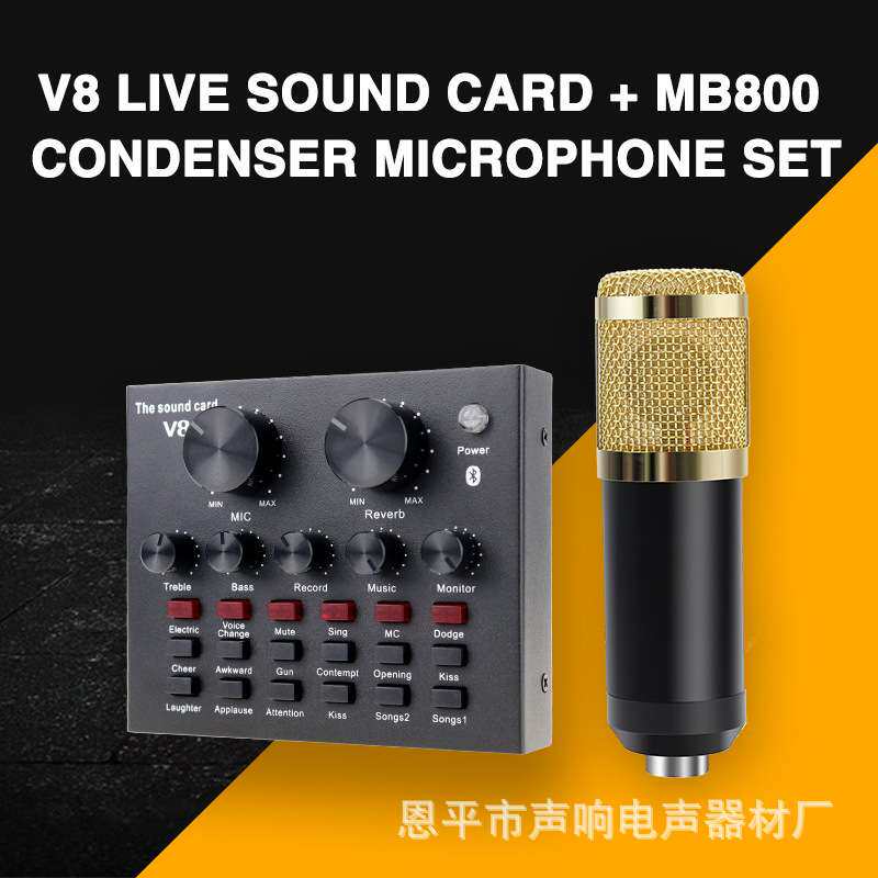 声响V8配猪笼800电容麦克风3针插口/USB插口外贸悬臂支架套装