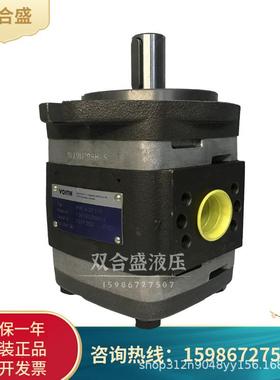 VOITH福伊特齿轮泵IPVP4/IPVAP4/IPV4-13/16/20/25/32-171液压泵