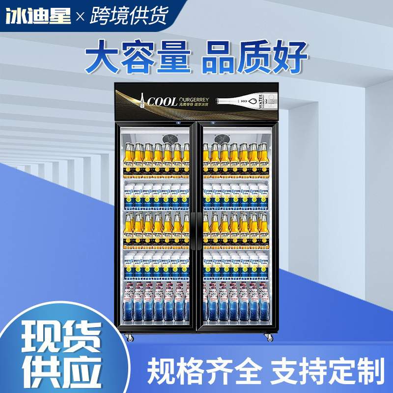 冷藏柜 展示柜 保鲜柜 立式双门铜管商用饮料冷饮蔬菜水果柜冰柜