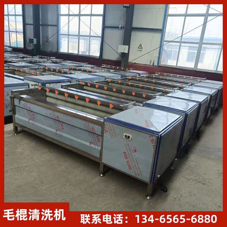 土豆专用清洗去皮机 扇贝商用去泥清洗机器  桔梗毛刷清洗设备