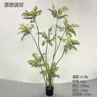 仿真绿植黄天竹高端轻奢室内客厅装饰假植物北欧风羽叶福禄桐树