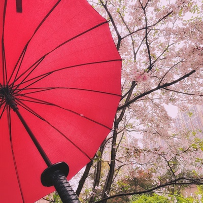 大号剑伞黑胶雨伞cos火影忍者武士机车晴雨防晒遮阳伞日本复古伞