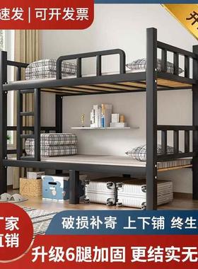 上下铺双层床加固成人铁床双人员工宿舍上下床学校铁架高低铁艺床