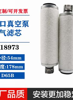 18973莱宝真空泵D65B油雾分离器排气滤芯LEBOLD空气过滤器风泵
