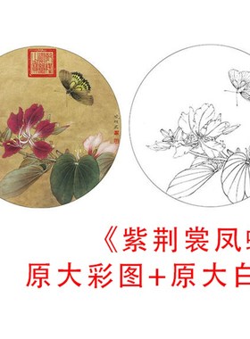 速发工笔裳鸟小品白描-稿底李晓明紫荆花凤蝶-原大实物打印稿825C