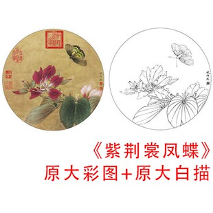 速发工笔裳鸟小品白描-稿底李晓明紫荆花凤蝶-原大实物打印稿825C