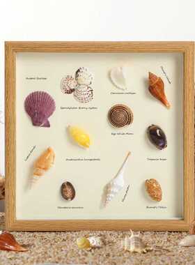 速发贝壳标空装裱相作展示摆台中本1.5立体挂画框木质制框