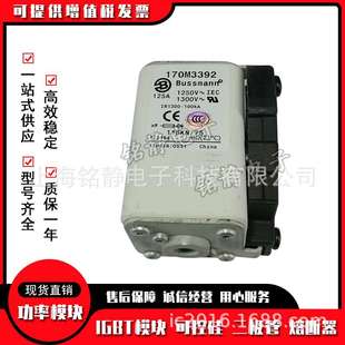 170M3321熔断器 170M3320 巴斯曼 170M3319 170M3318