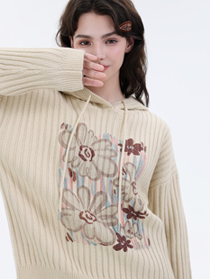 Mardi早秋2025新款女装韩系针织毛衣外套轻奢设计感连帽休闲卫衣