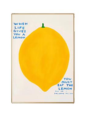 TRYE-294黄色檬蓝色柠椅子落地厅客厅装饰画清新餐摆台挂画可爱治