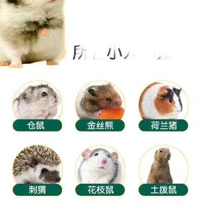 芦丁鸡饲造景实木鼠养箱仓爬宠原木笼子恒温赏别墅保温cp#31233观